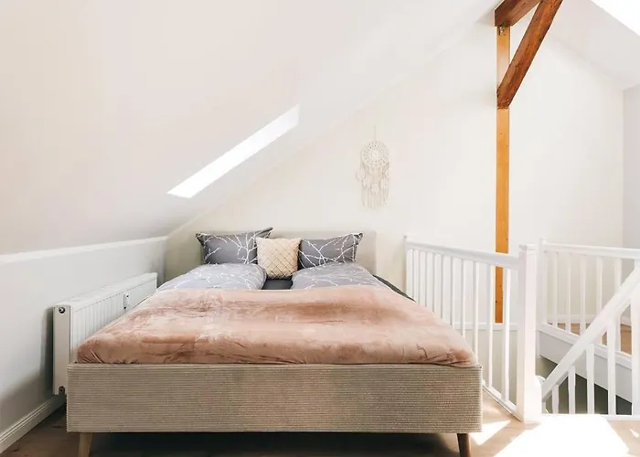 Tip! Toplage In Dresden! Moderne 100 Qm Fuer Familien Und Kleine Gruppen דירה